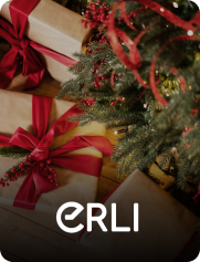 ERLI e-commerce platform offering PragmaPay deferred payments for businesses